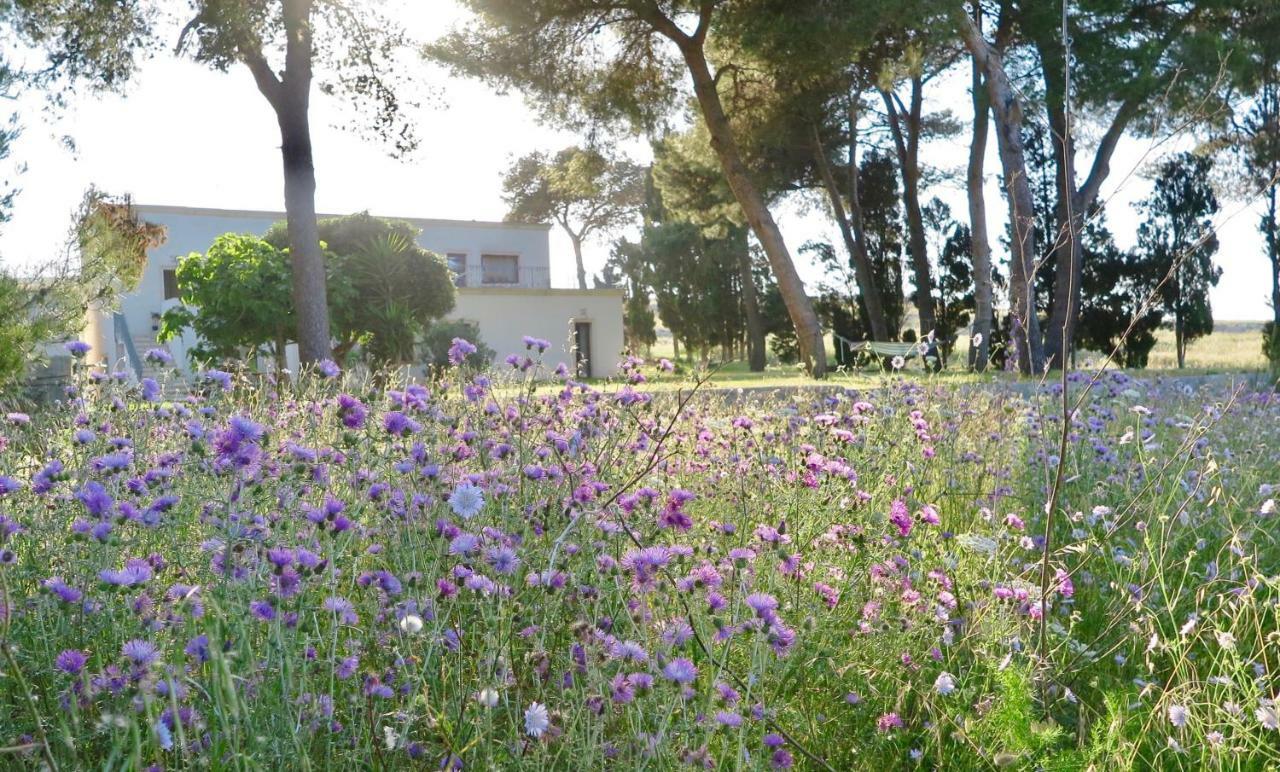 La Dimora Di Ulisse Aparthotel Santa Cesarea Terme Exteriör bild